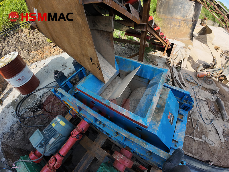 Double Roll Crusher
